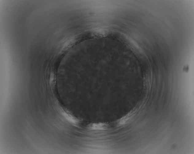 X0000090860134200708171613