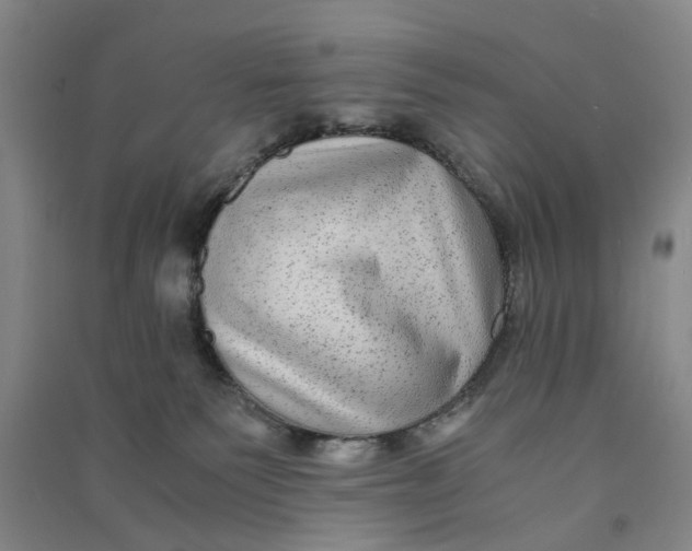 X0000090860135200708171613