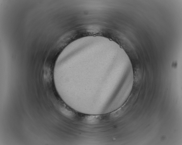 X0000090860136200708171613