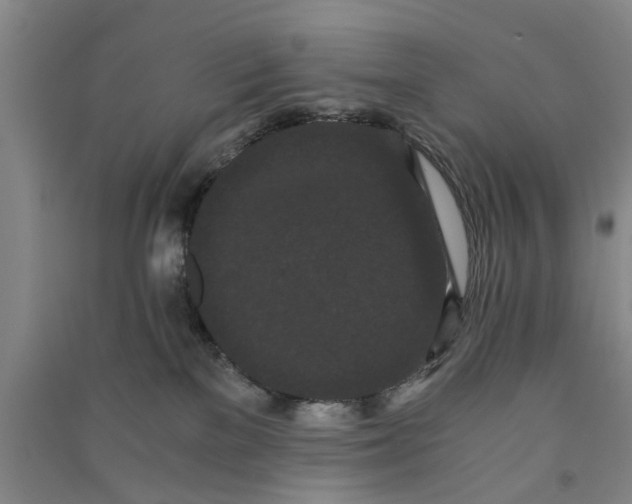 X0000090860137200708171613