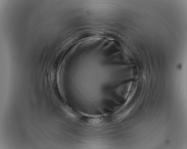 X0000090860139200708171613