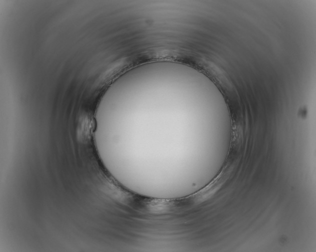 X0000090860142200708171613