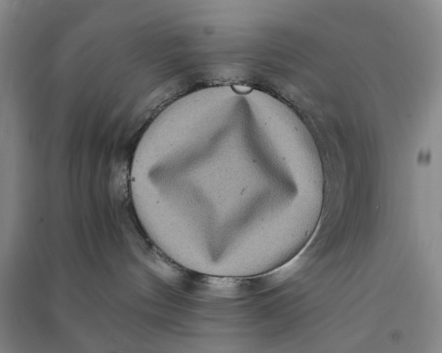 X0000090860144200708171612