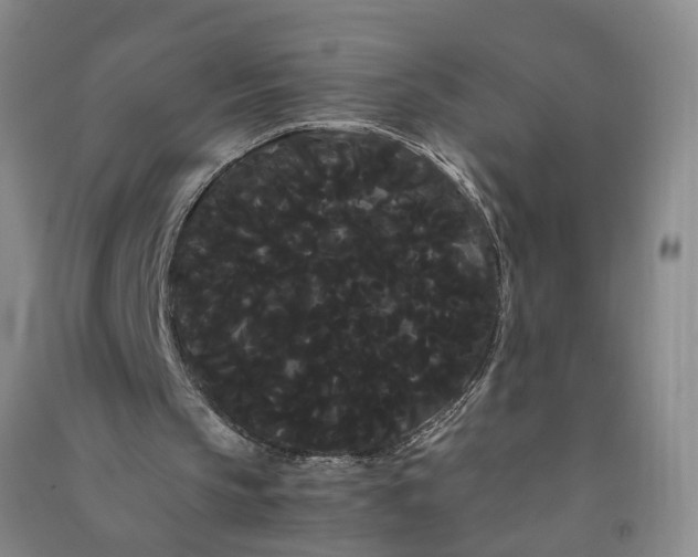 X0000090860145200708171612