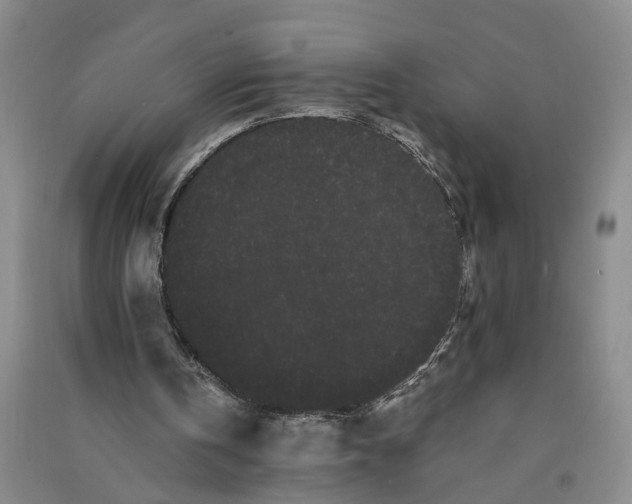 X0000090860146200708171612