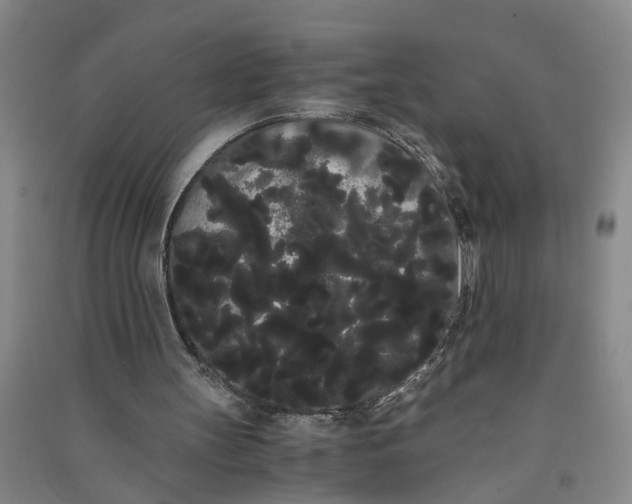 X0000090860147200708171612