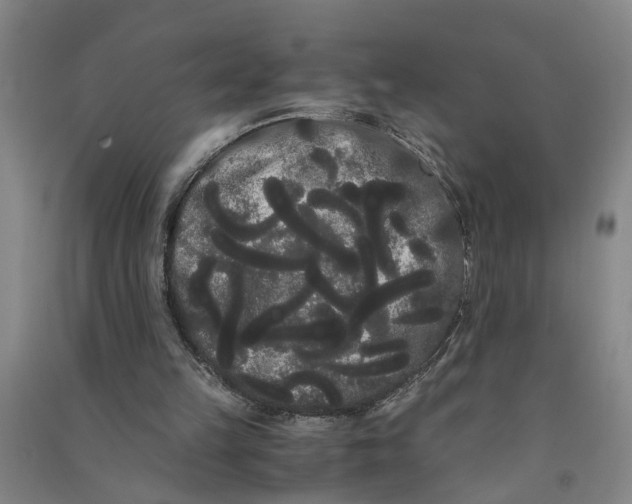 X0000090860149200708171612