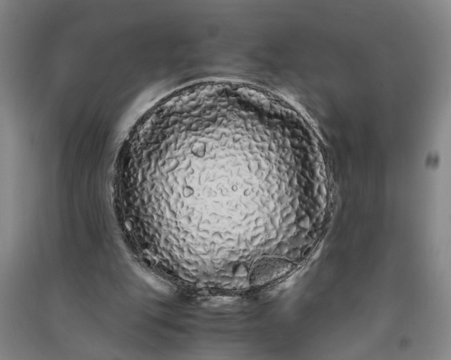 X0000090860151200708171612