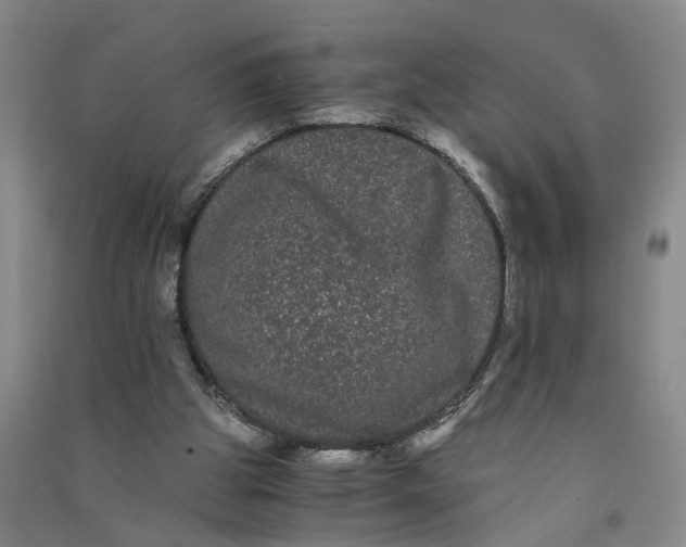 X0000090860153200708171612