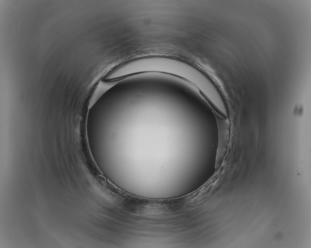 X0000090860154200708171612