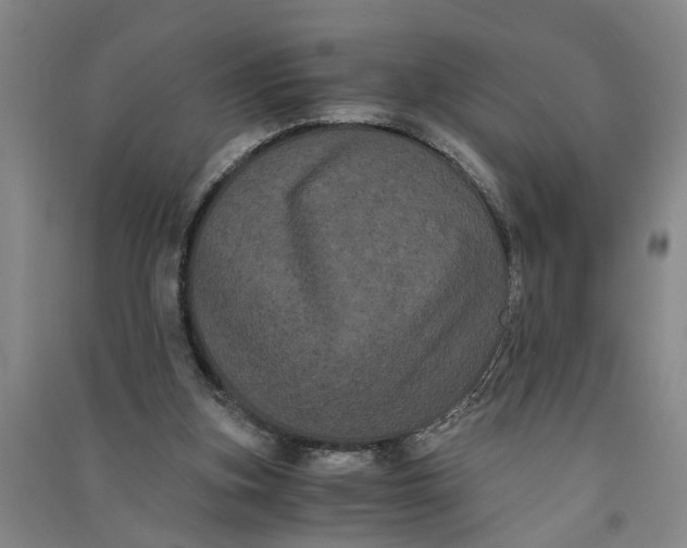 X0000090860155200708171612