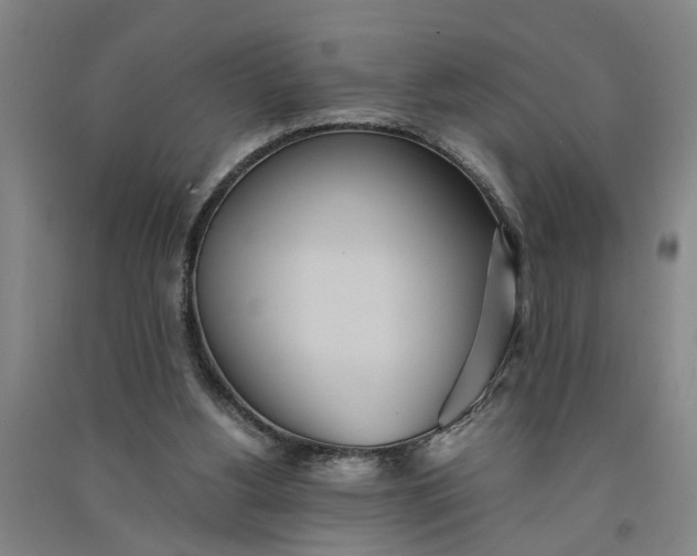 X0000090860156200708171612