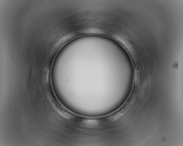 X0000090860157200708171612