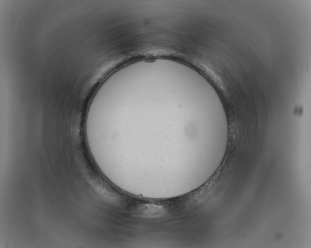 X0000090860159200708171612