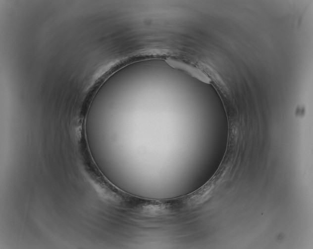 X0000090860160200708171612