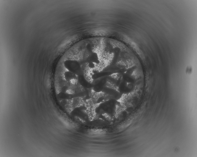 X0000090860161200708171612