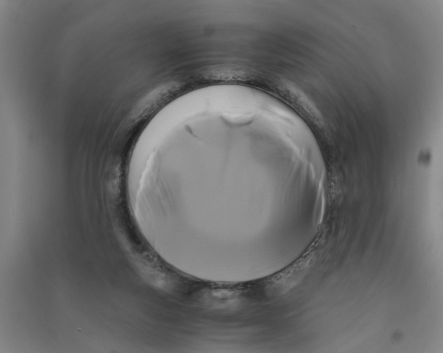X0000090860163200708171612