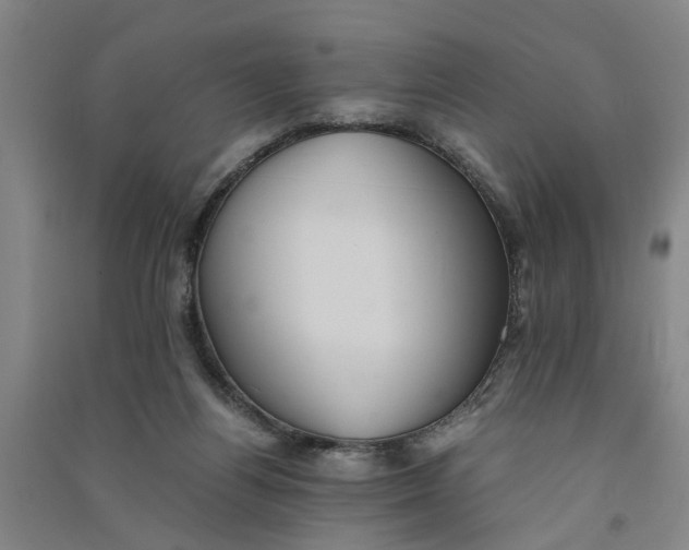 X0000090860164200708171612