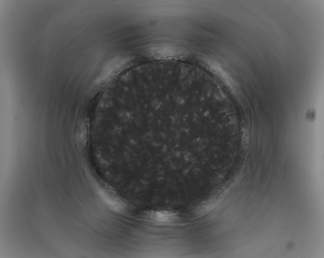 X0000090860165200708171612