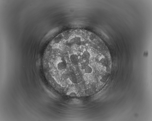 X0000090860166200708171612