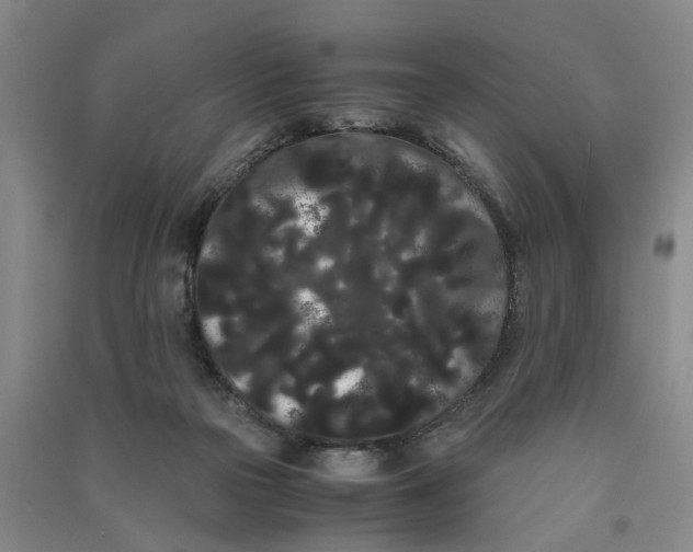 X0000090860169200708171612