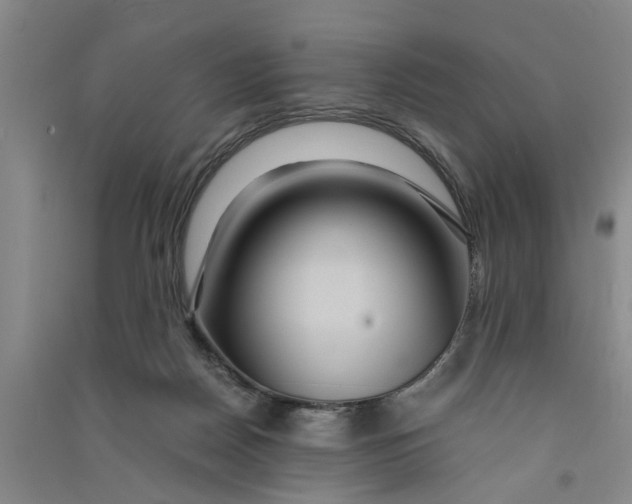 X0000090860170200708171612