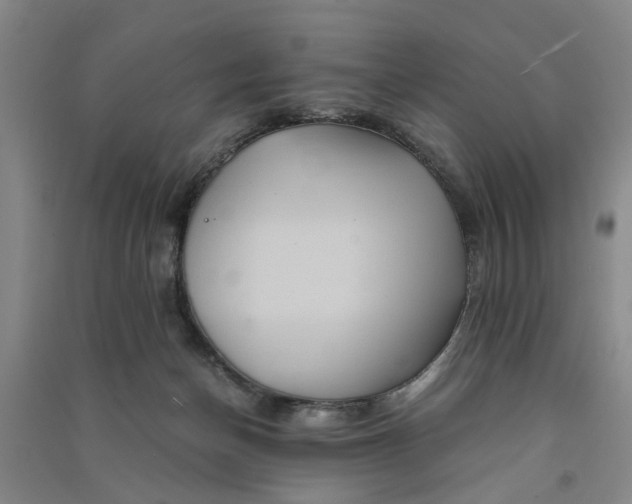 X0000090860174200708171612