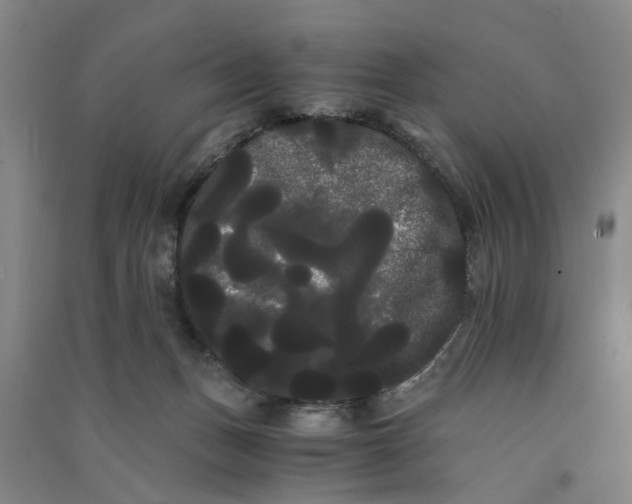 X0000090860175200708171612