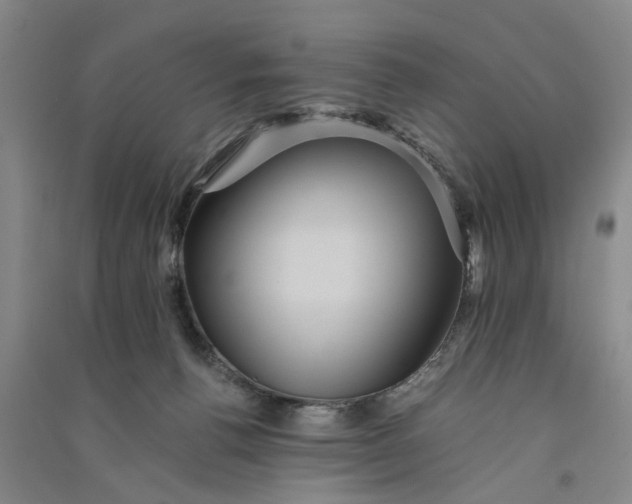 X0000090860176200708171612