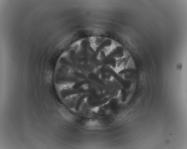 X0000090860177200708171612