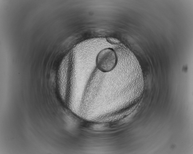X0000090860178200708171612