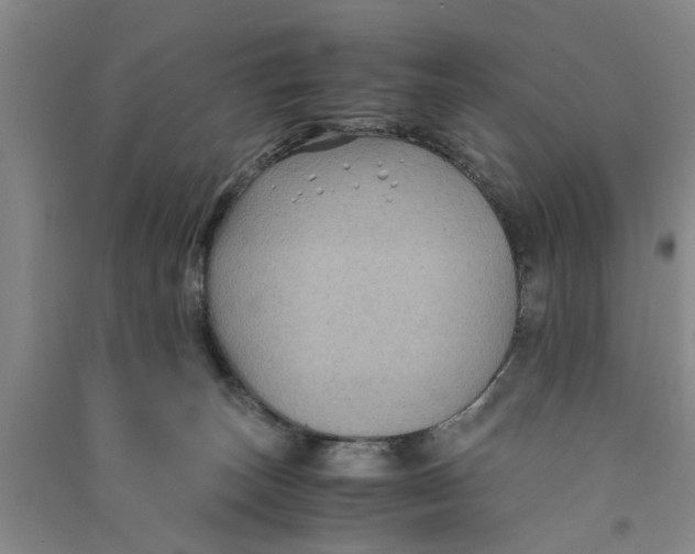 X0000090860179200708171612