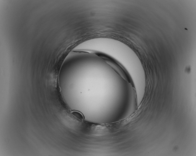 X0000090860180200708171612
