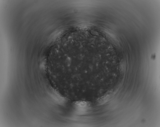 X0000090860181200708171612