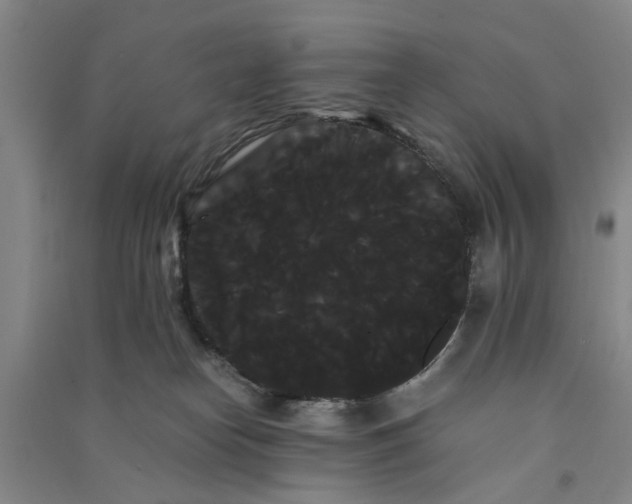 X0000090860182200708171612