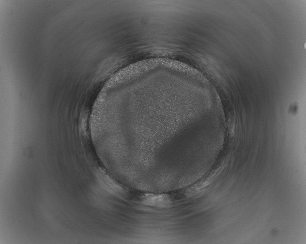 X0000090860185200708171612