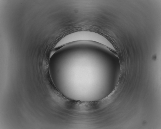 X0000090860186200708171612