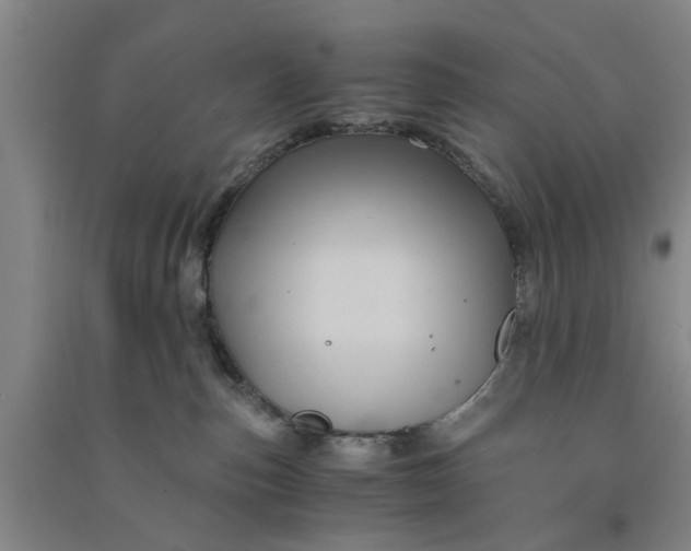 X0000090860187200708171612