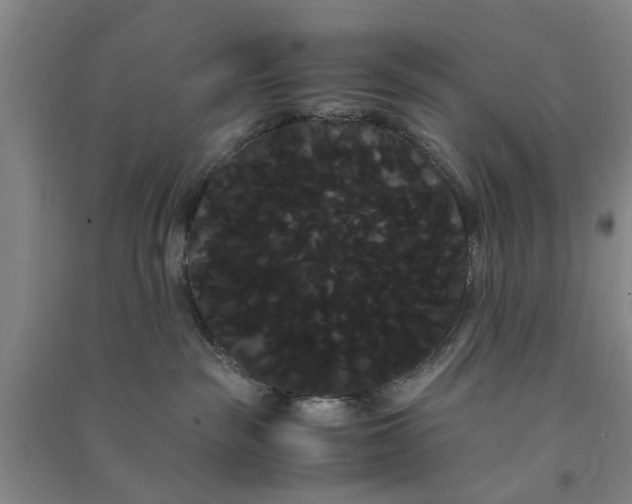X0000090860189200708171612