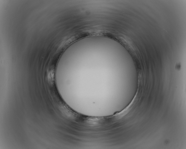 X0000090860190200708171612