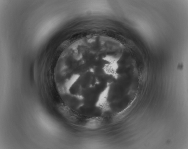 X0000090860191200708171612