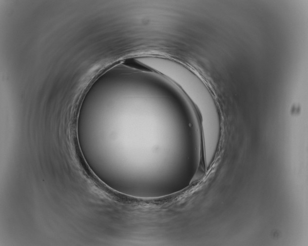 X0000090860193200708171612