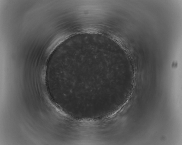 X0000090860194200708171612