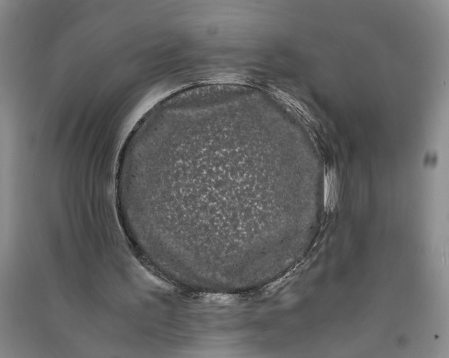 X0000090860195200708171612