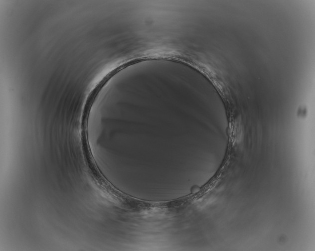 X0000090860196200708171612