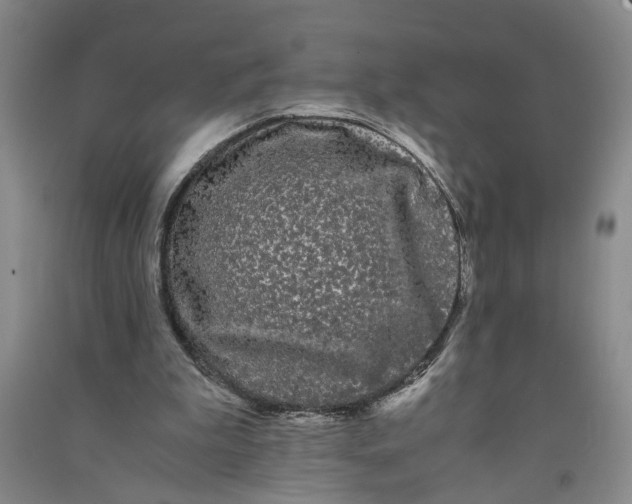 X0000090860199200708171612