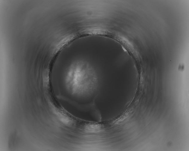 X0000090860202200708171612