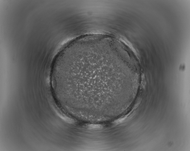 X0000090860203200708171612