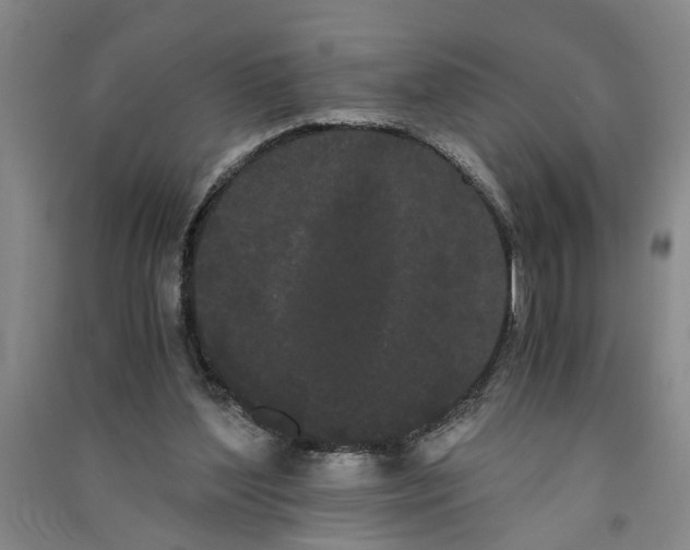 X0000090860204200708171612