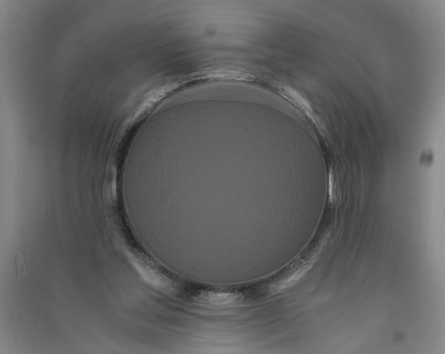 X0000090860205200708171612